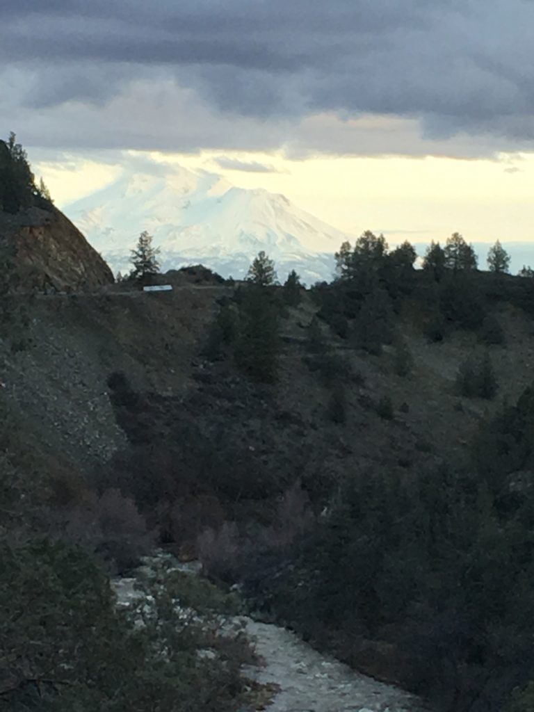 Mt Shasta